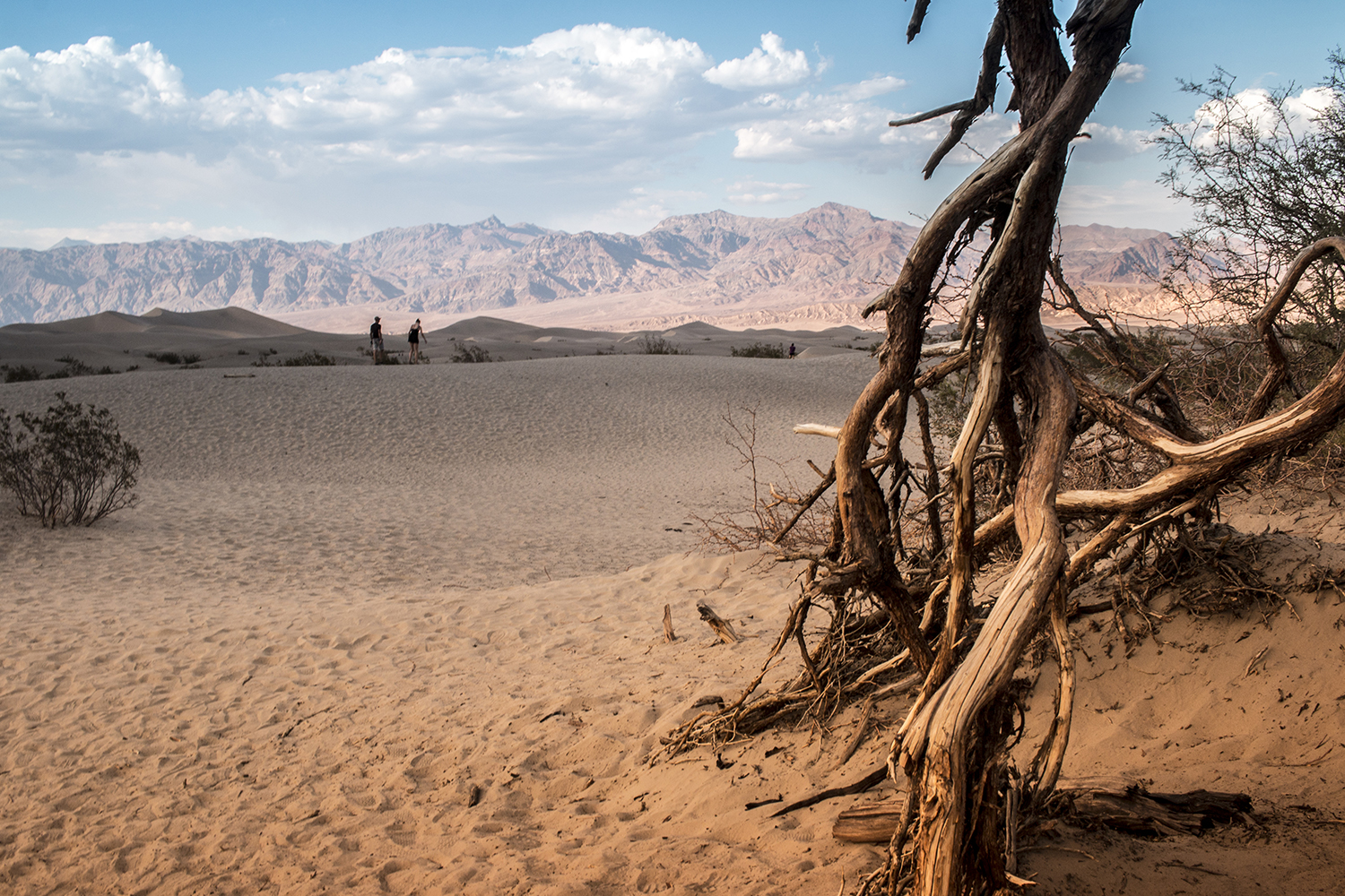 arielkatowice-death-valley-mesquite-flat-sand-dunes