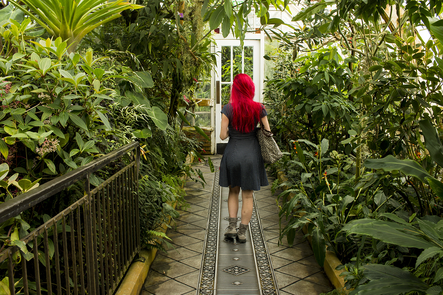 arielkatowice-san-francisco-conservatory-of-flowers