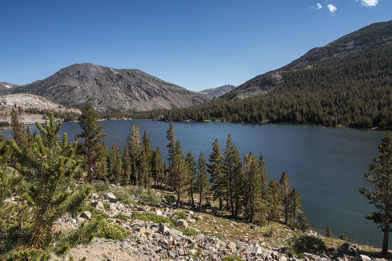 arielkatowice-yosemite-park-tioga-road