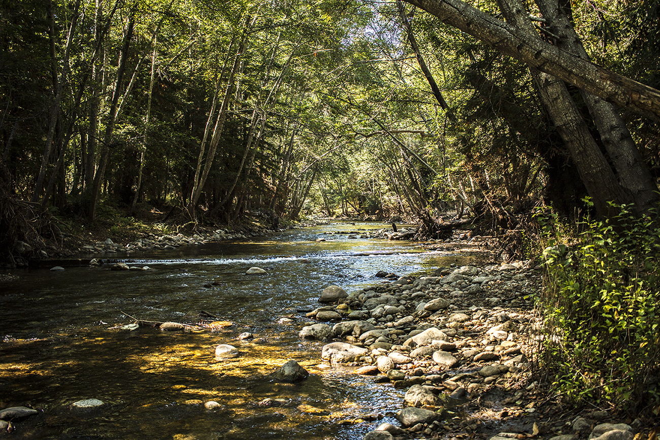 arielkatowice-Kirk-Creek-Campground-big-sur