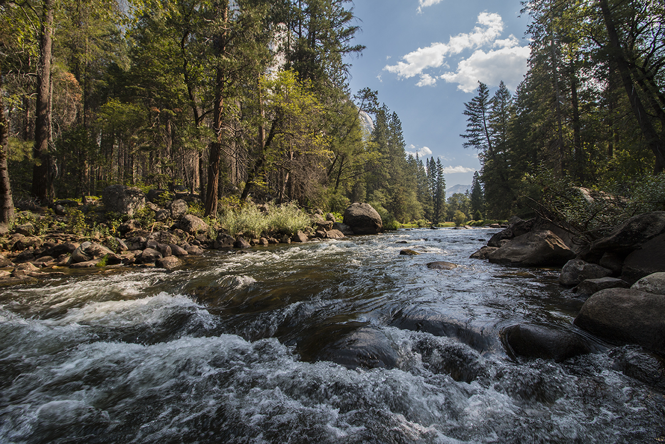 arielkatowice-yosemite-parc-naturel