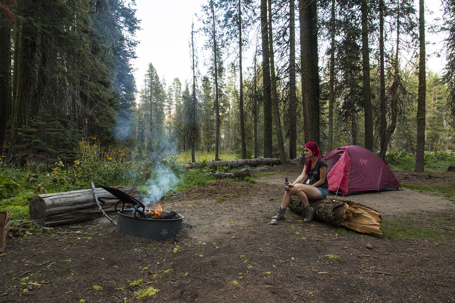 arielkatowice-yosemite-park-camping