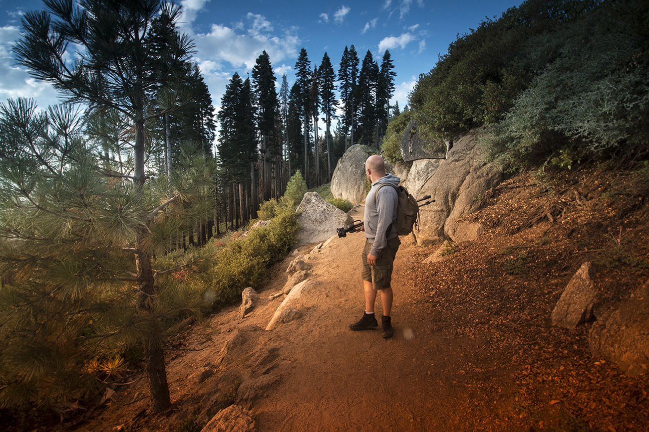 arielkatowice-yosemite-park-materiel-photo