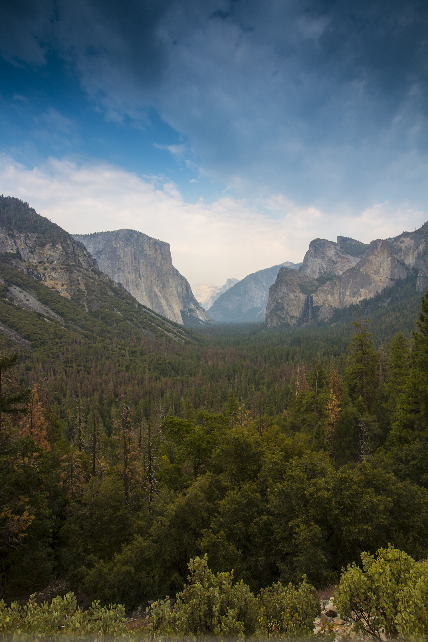 arielkatowice-yosemite-park-tunnel-view