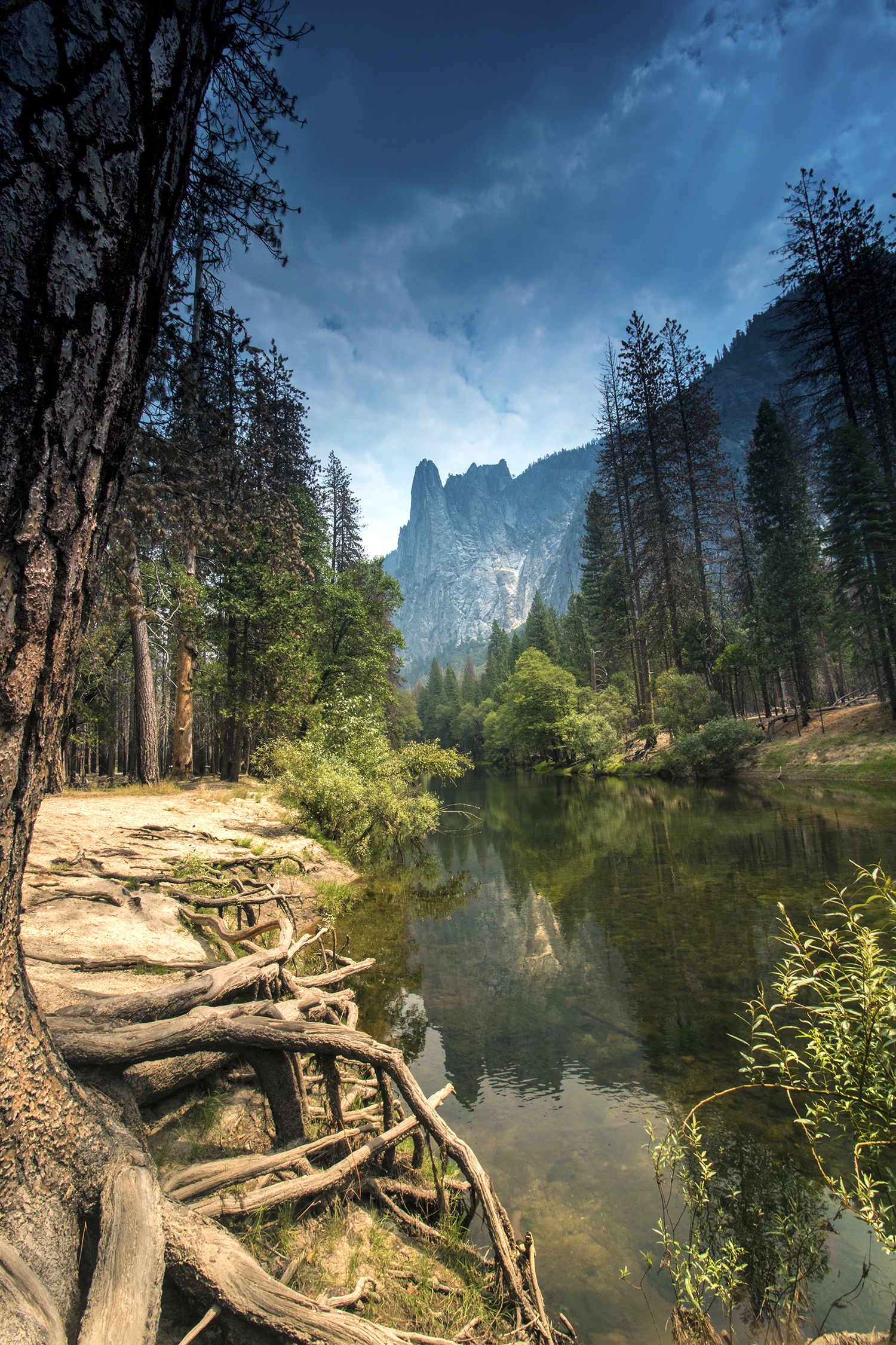 arielkatowice-yosemite-park