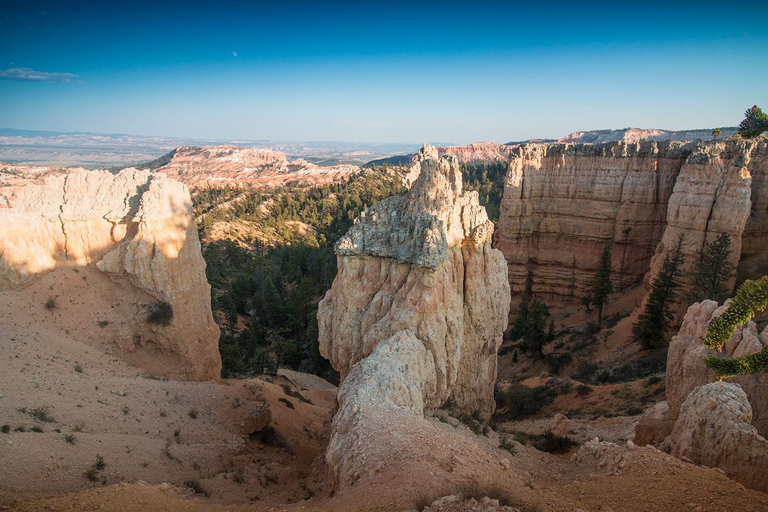 arielkatowice-roadtrip-bryce-park-hoodoo