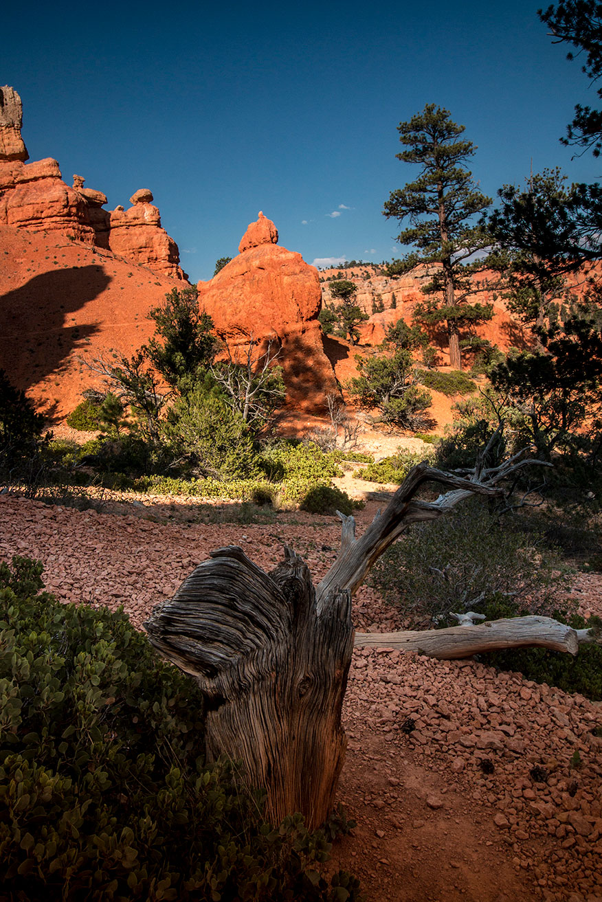 arielkatowice-roadtrip-usa-bryce-canyon-park