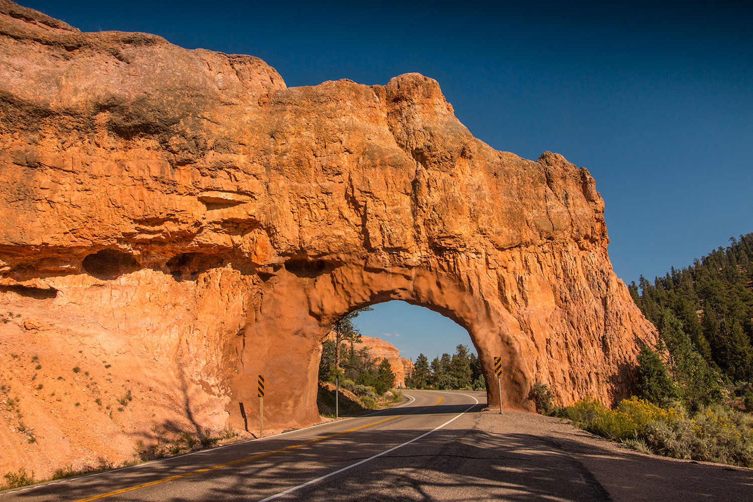 arielkatowice-roadtrip-usa-bryce-park-arche