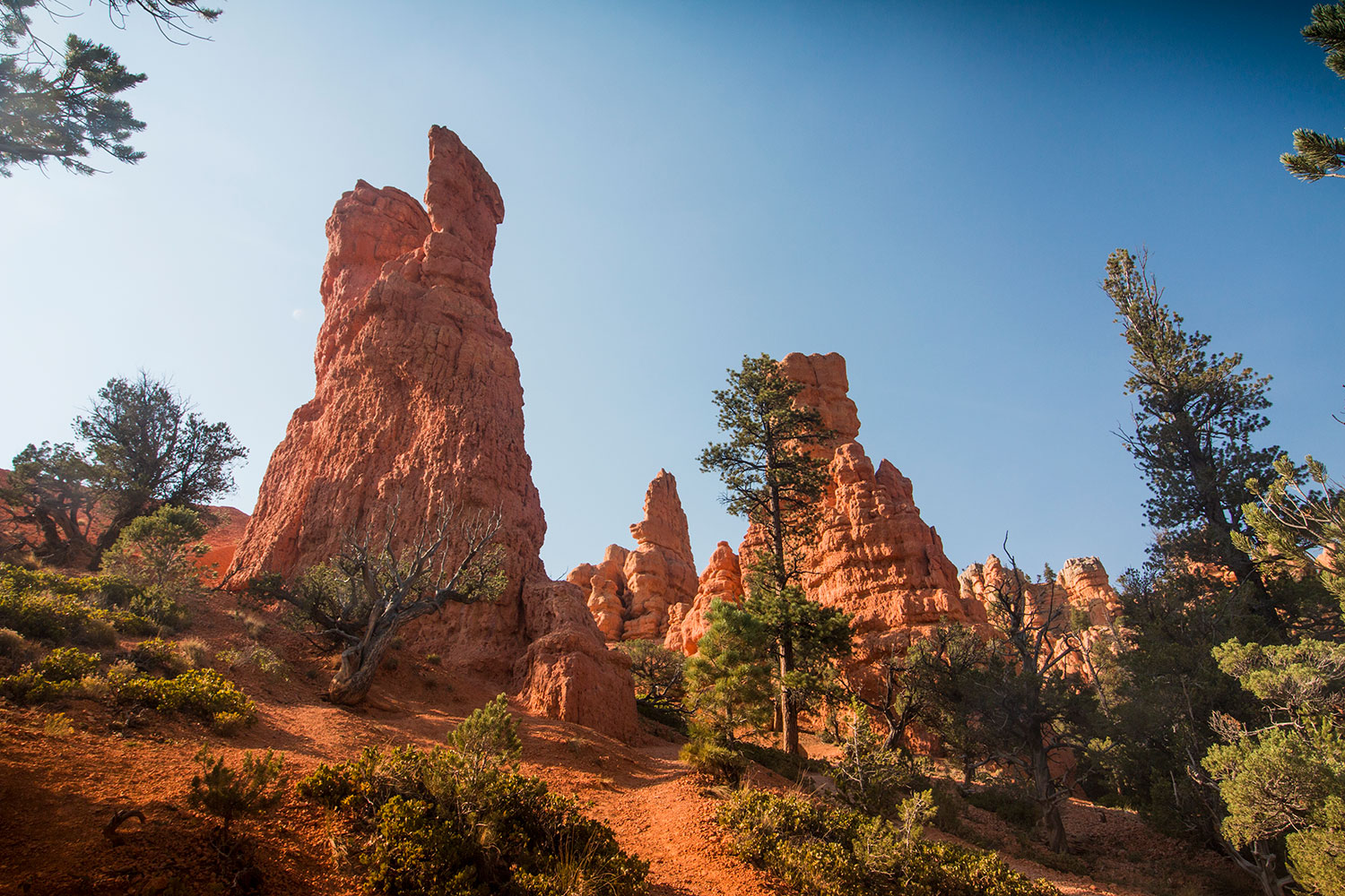 arielkatowice-roadtrip-usa-bryce-park