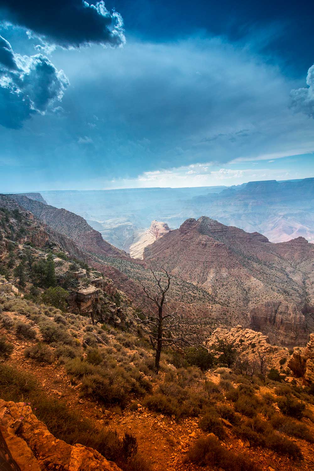 arielkatowice-grand-canyon-kaibab-plateau