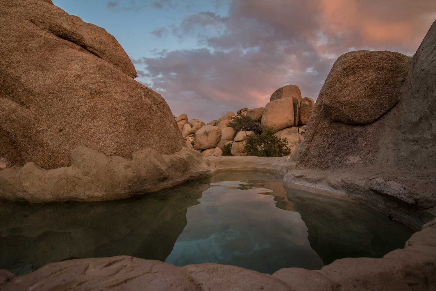 arielkatowice-Joshua-Tree-desert-piscine-naturel