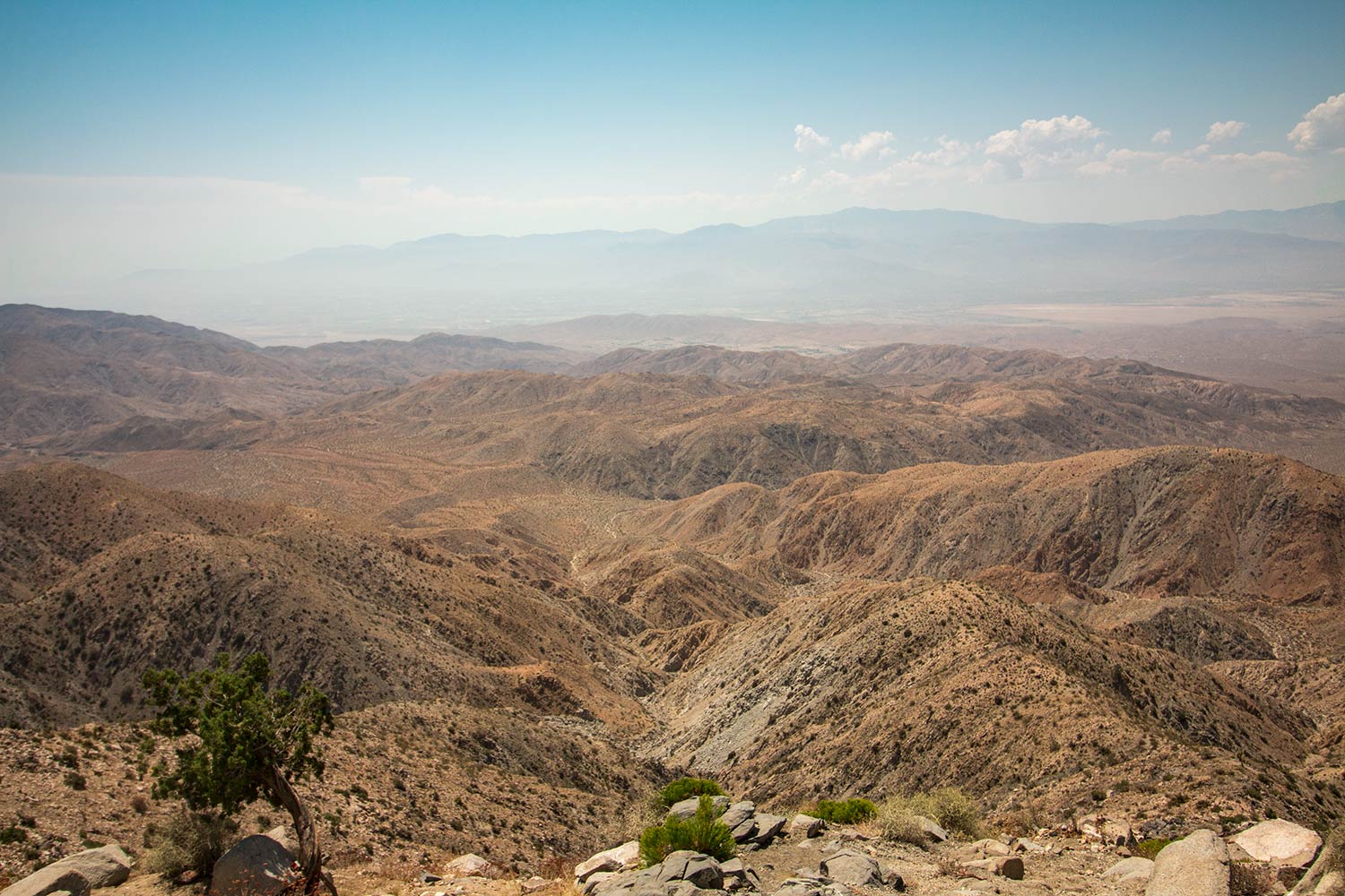 arielkatowice-Joshua-Tree-key-view