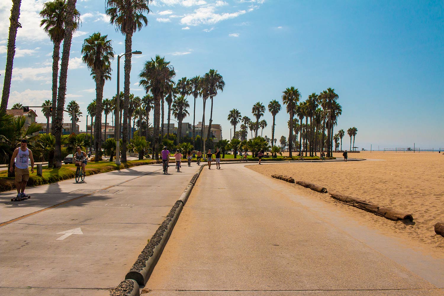 arielkatowice-venice-beach-los-angeles-velo