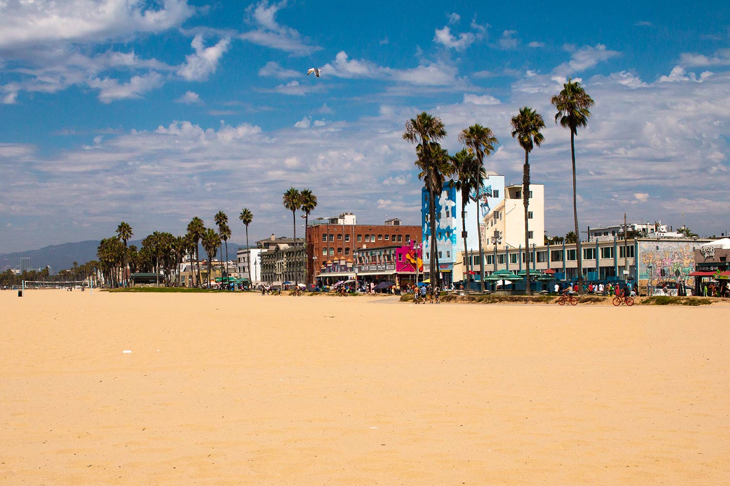 arielkatowice-venice-beach-los-angeles