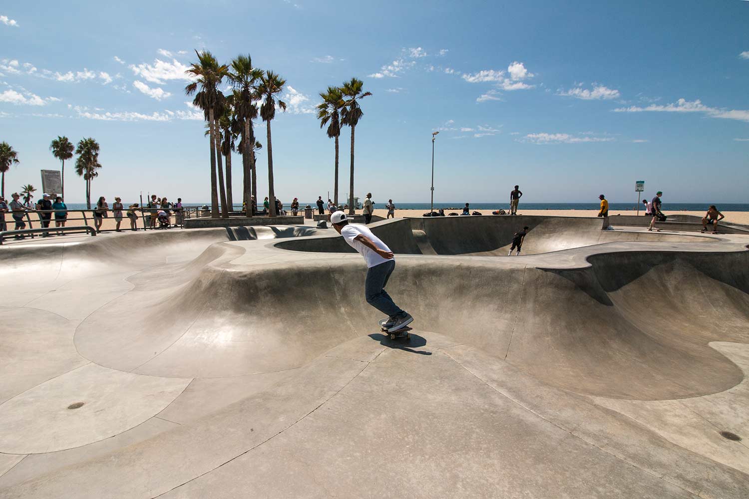 arielkatowice-venice-beach-skatteur