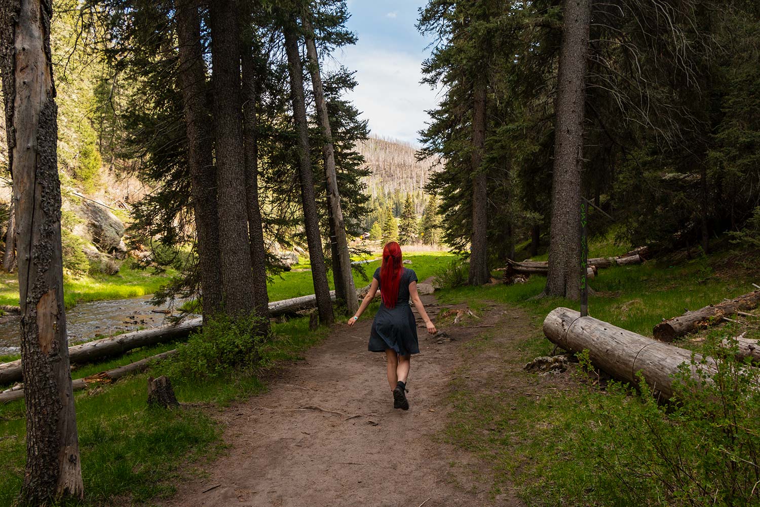 arielkatowice-jemez-mountain-las-conchas-trailhead