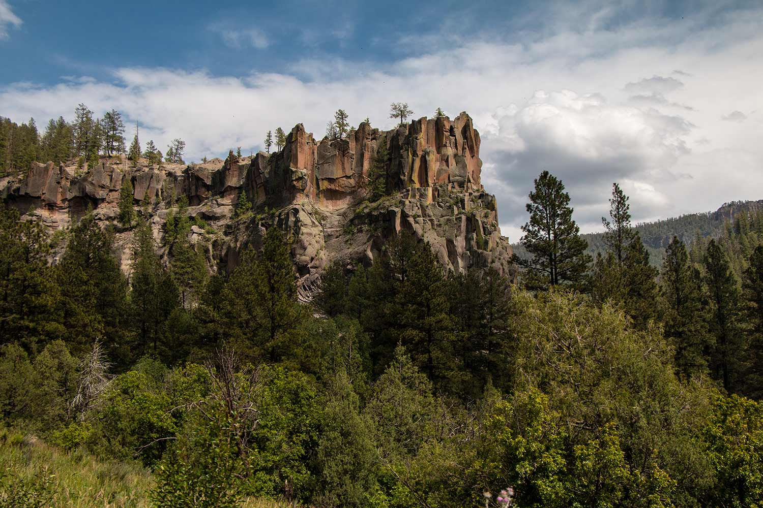 arielkatowice-jemez-mountain