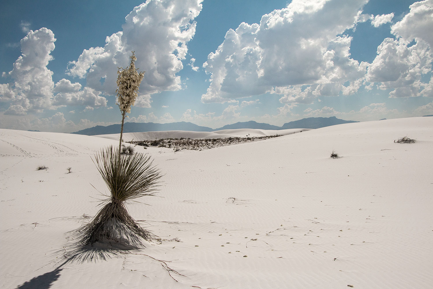 arielkatowice-white-sand-national-monument