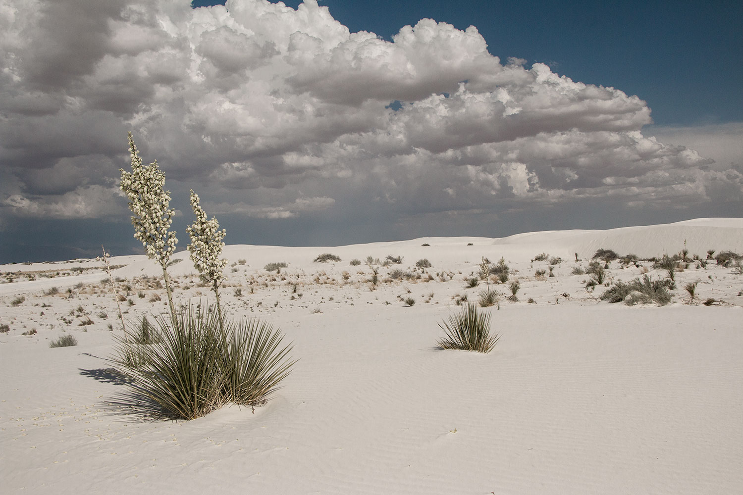 arielkatowice-white-sands